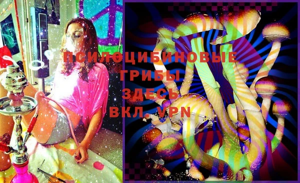 крисы Костерёво
