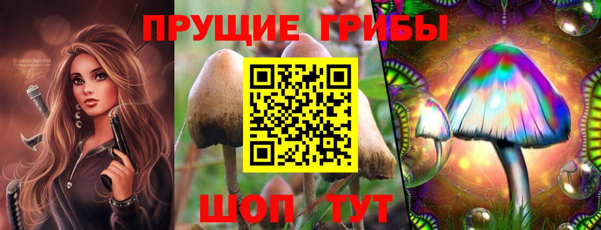 Псилоцибиновые грибы мухоморы Малгобек